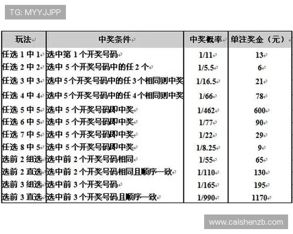 十一选五大厅全新玩法攻略与技巧分享助你轻松提高中奖率