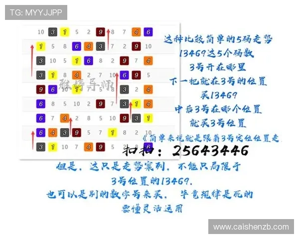 官方飞艇玩法技巧全解析助你轻松提高中奖率