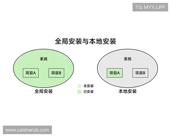官方飞艇投注策略解析与实用方法全面指南